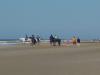 dsc01816_t1.jpg