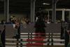 img_3253_t1.jpg