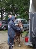 dsc03782_t1.jpg