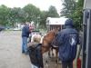 dsc03784_t1.jpg