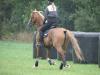 dsc03800_t1.jpg