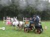 dsc03829_t1.jpg