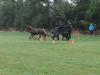 dsc03832_t1.jpg