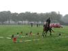 dsc03833_t1.jpg