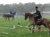 dsc03834_t1.jpg