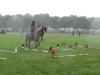 dsc03835_t1.jpg