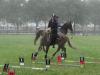 dsc03836_t1.jpg