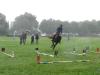 dsc03838_t1.jpg