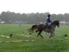 dsc03839_t1.jpg