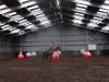 dsc03842_t1.jpg
