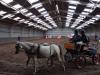dsc03845_t1.jpg