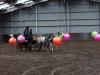 dsc03847_t1.jpg