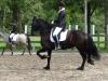 dsc03995_t1.jpg