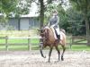 dsc04019_t1.jpg